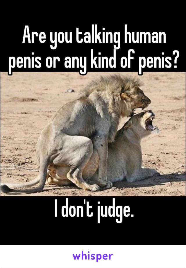Are you talking human penis or any kind of penis?





I don't judge.
