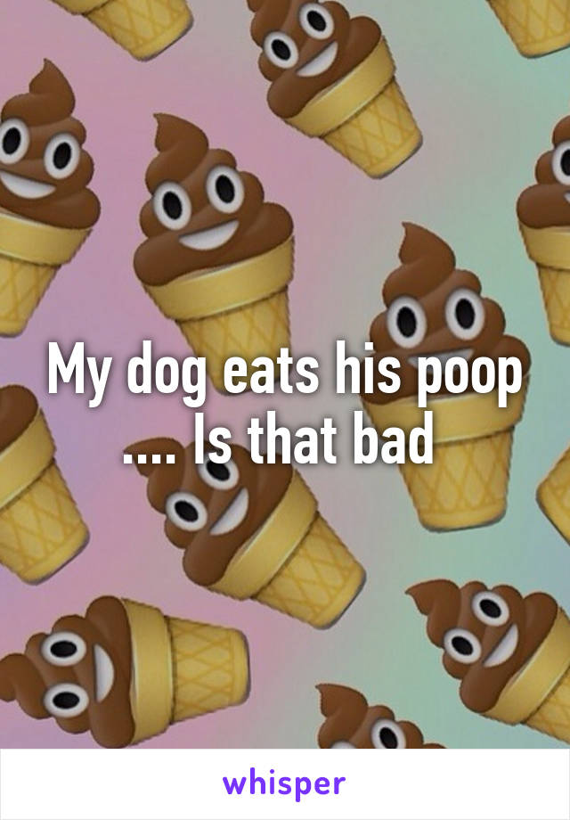 My dog eats his poop .... Is that bad 