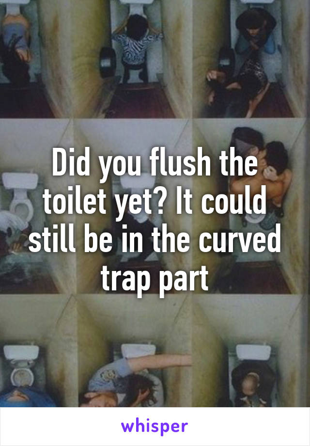 Did you flush the toilet yet? It could still be in the curved trap part