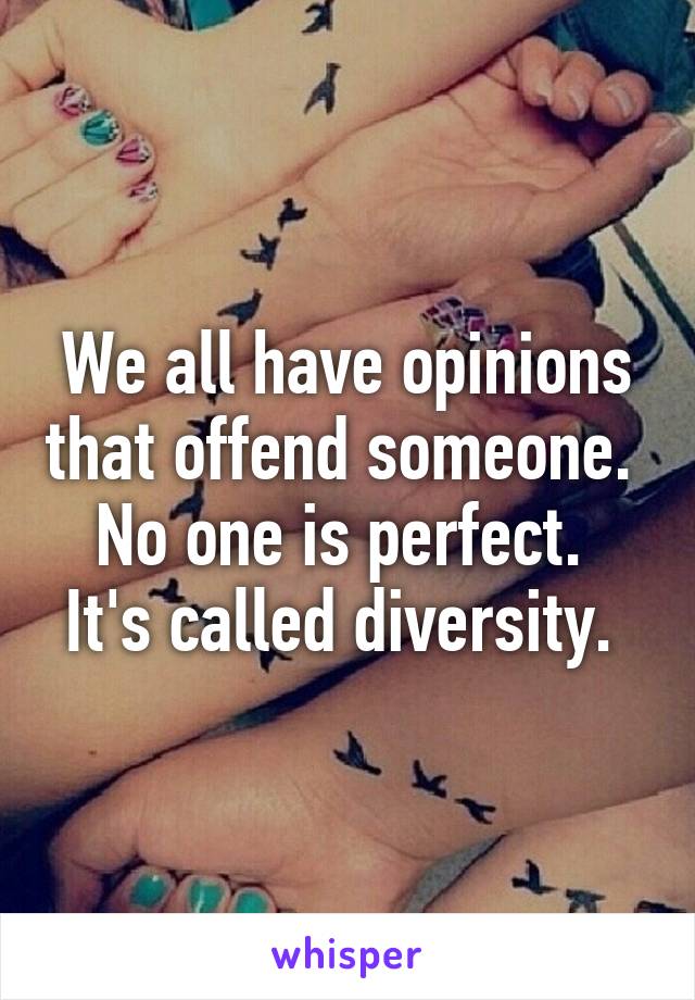 We all have opinions that offend someone. 
No one is perfect. 
It's called diversity. 