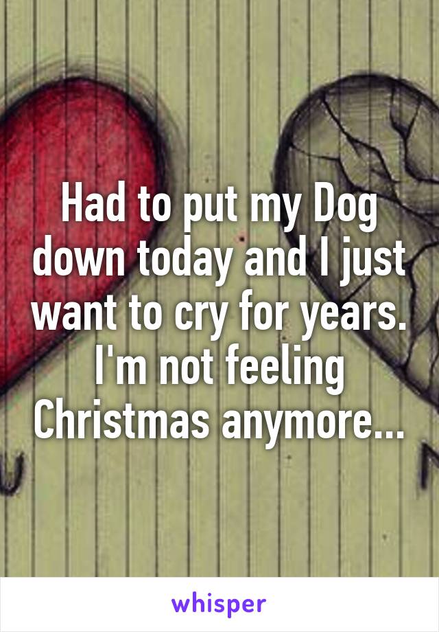 Had to put my Dog down today and I just want to cry for years.
I'm not feeling Christmas anymore...