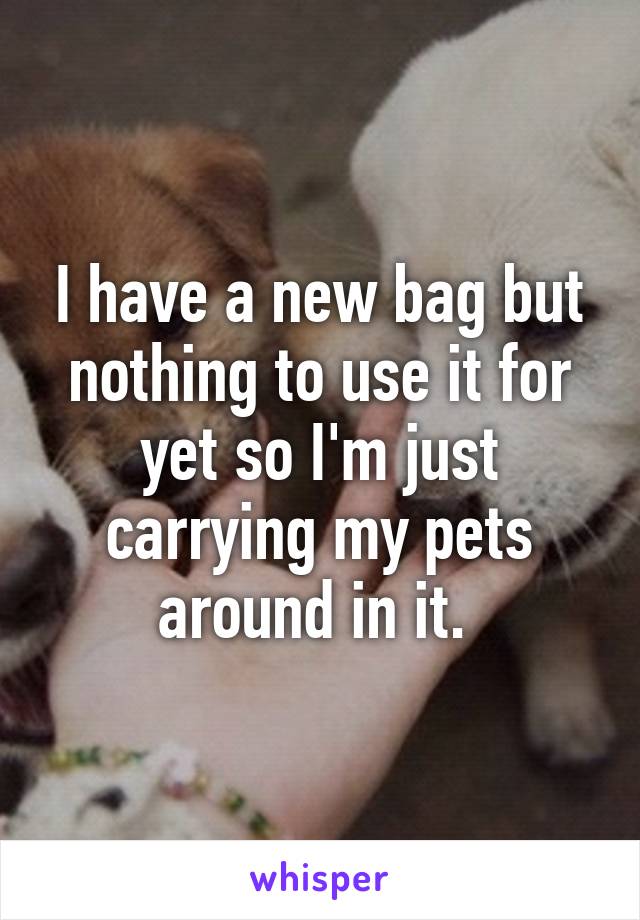 I have a new bag but nothing to use it for yet so I'm just carrying my pets around in it. 