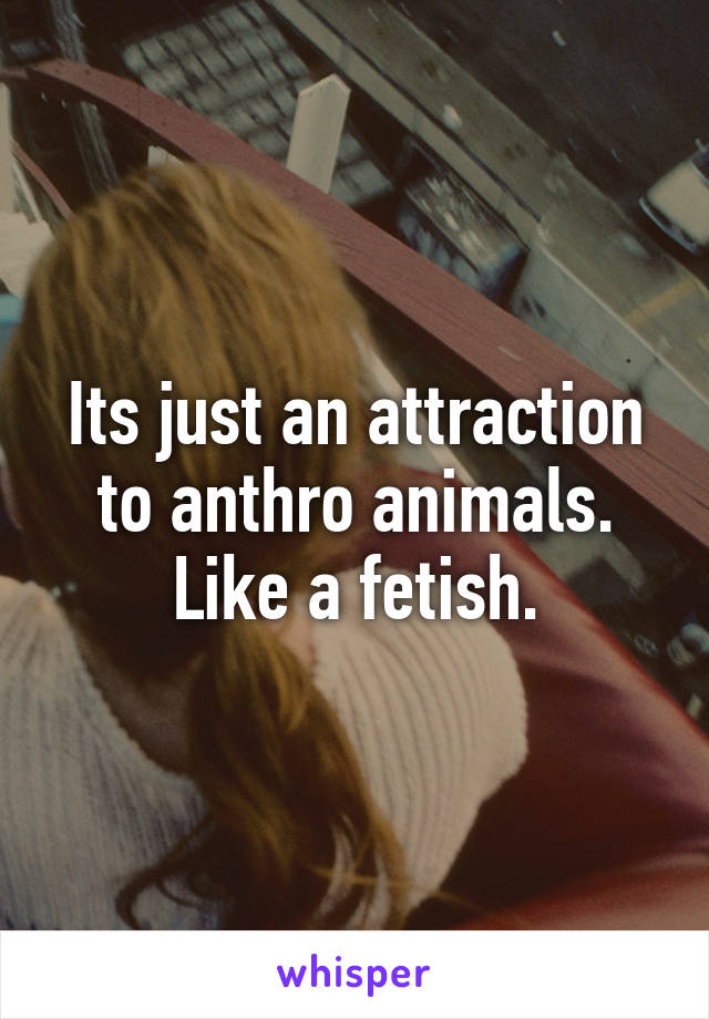 Its just an attraction to anthro animals. Like a fetish.