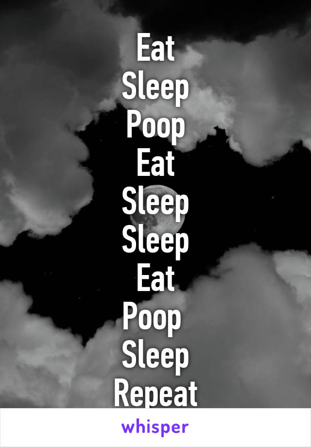 Eat
Sleep
Poop
Eat
Sleep
Sleep
Eat
Poop 
Sleep
Repeat