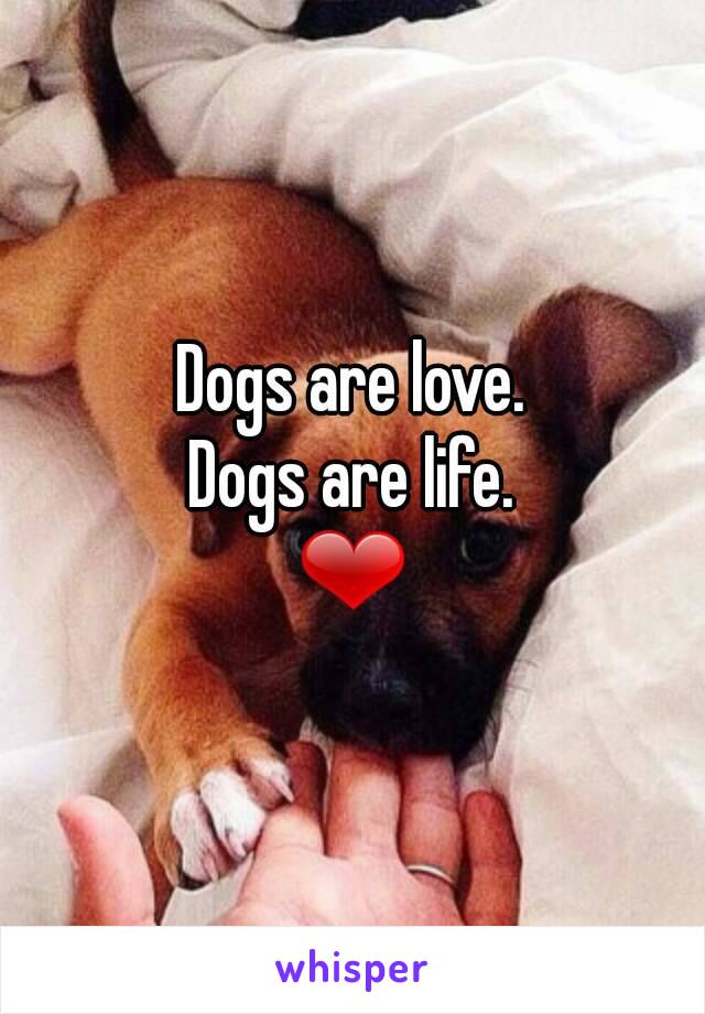Dogs are love.
Dogs are life.
❤