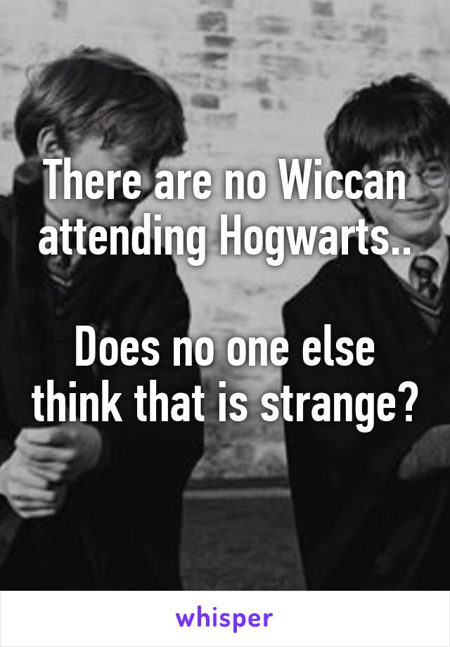 There are no Wiccan attending Hogwarts..

Does no one else think that is strange?

