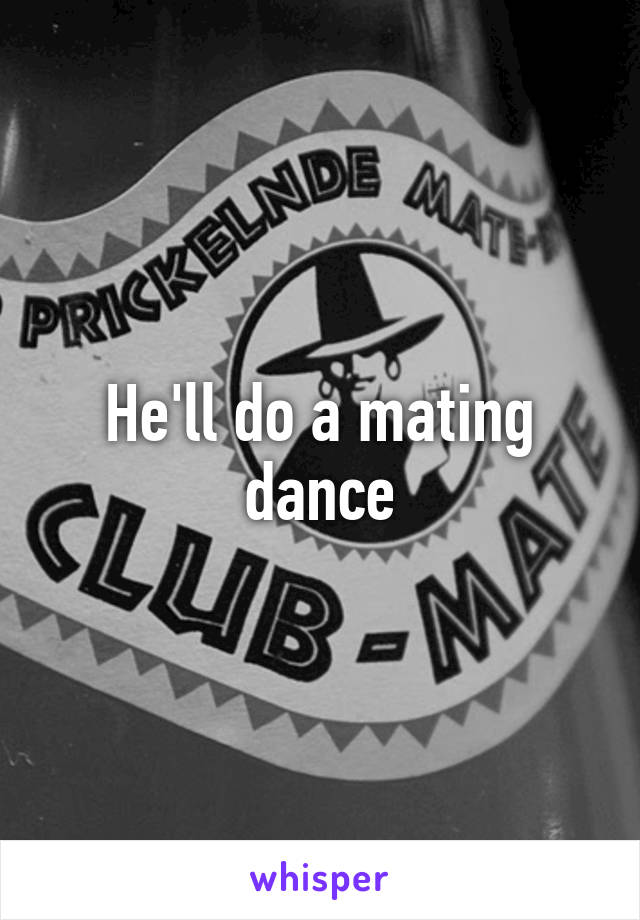 He'll do a mating dance
