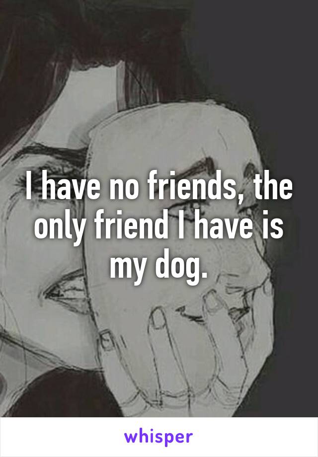 I have no friends, the only friend I have is my dog.