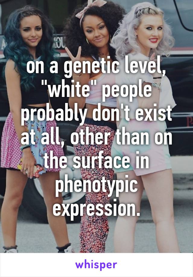 on a genetic level, "white" people probably don't exist at all, other than on the surface in phenotypic expression.