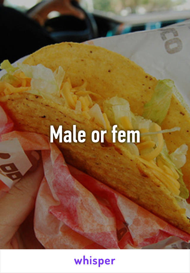Male or fem