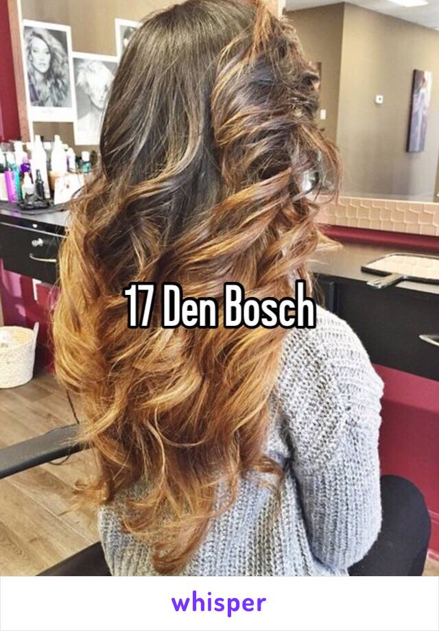 17 Den Bosch