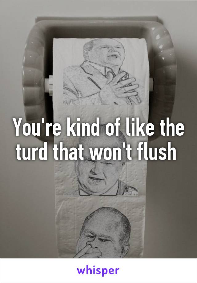 You're kind of like the turd that won't flush 