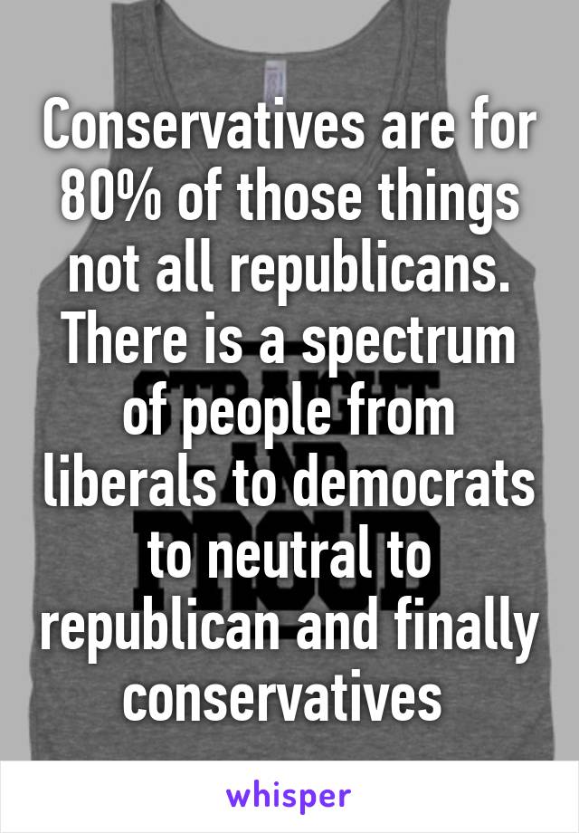 Conservatives are for 80% of those things not all republicans. There is a spectrum of people from liberals to democrats to neutral to republican and finally conservatives 