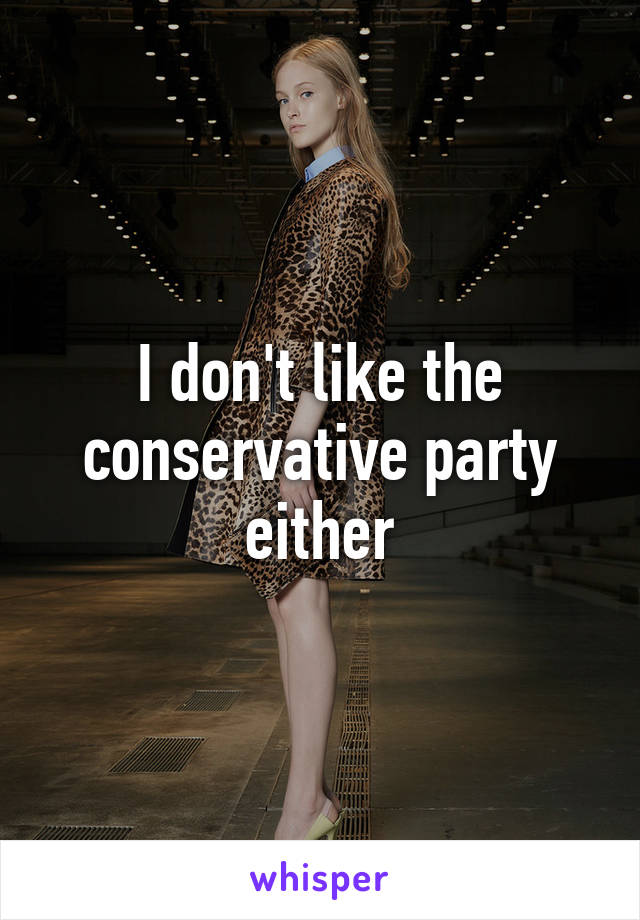 I don't like the conservative party either
