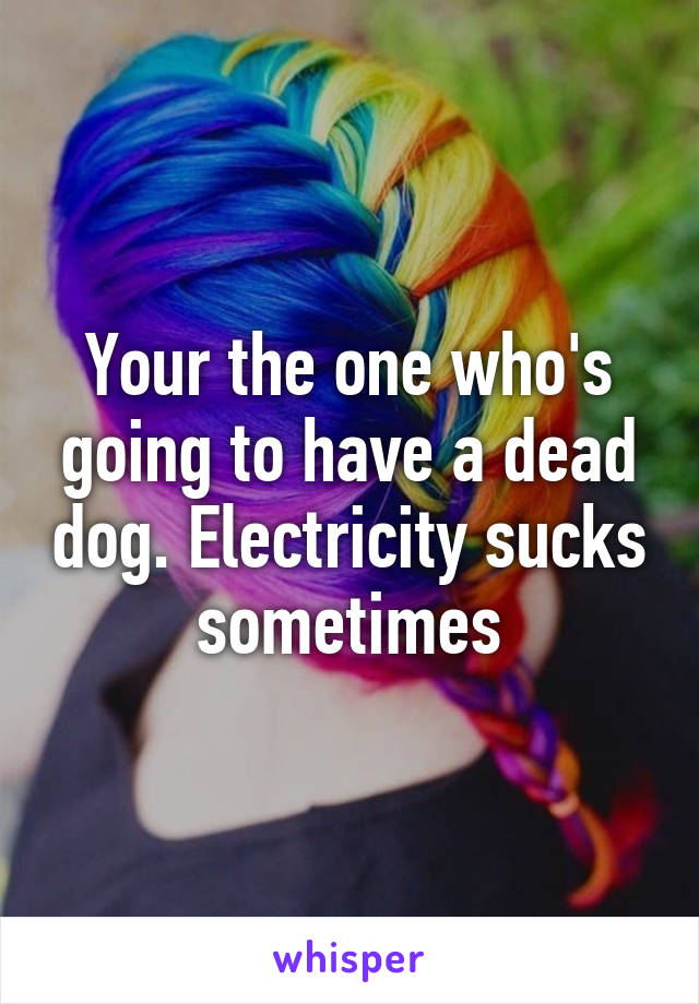 Your the one who's going to have a dead dog. Electricity sucks sometimes