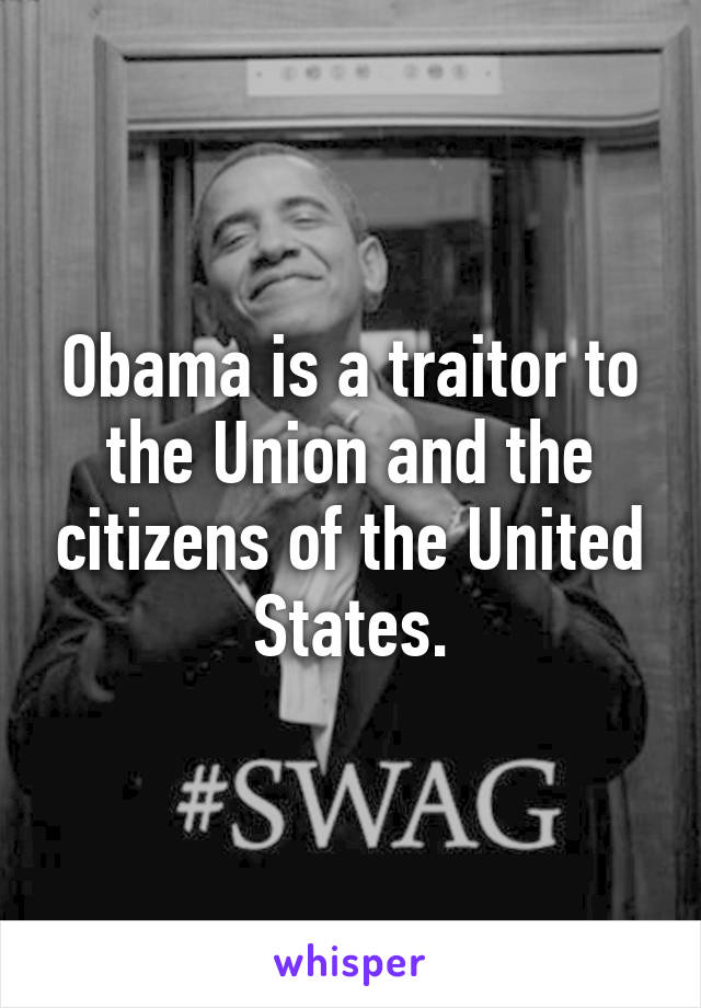 Obama is a traitor to the Union and the citizens of the United States.