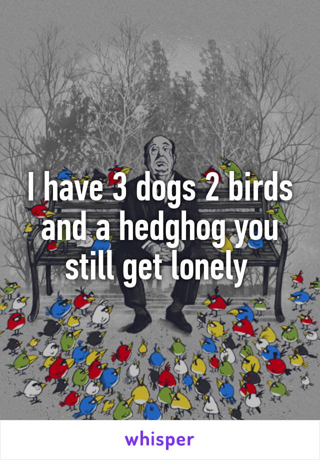I have 3 dogs 2 birds and a hedghog you still get lonely 
