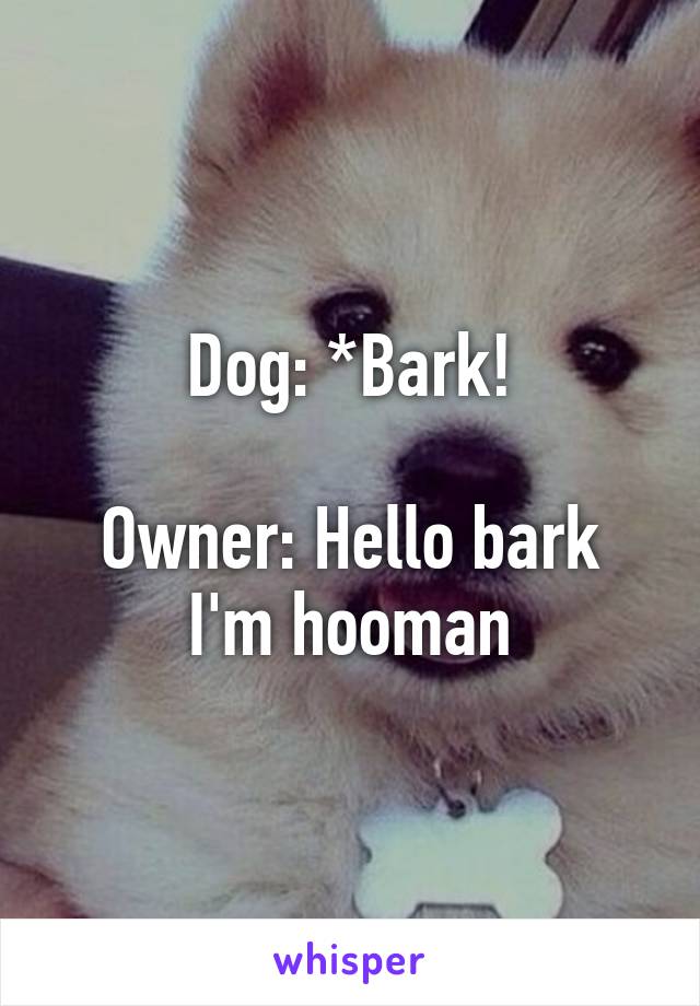 Dog: *Bark!

Owner: Hello bark I'm hooman