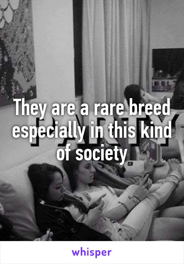 They are a rare breed especially in this kind of society