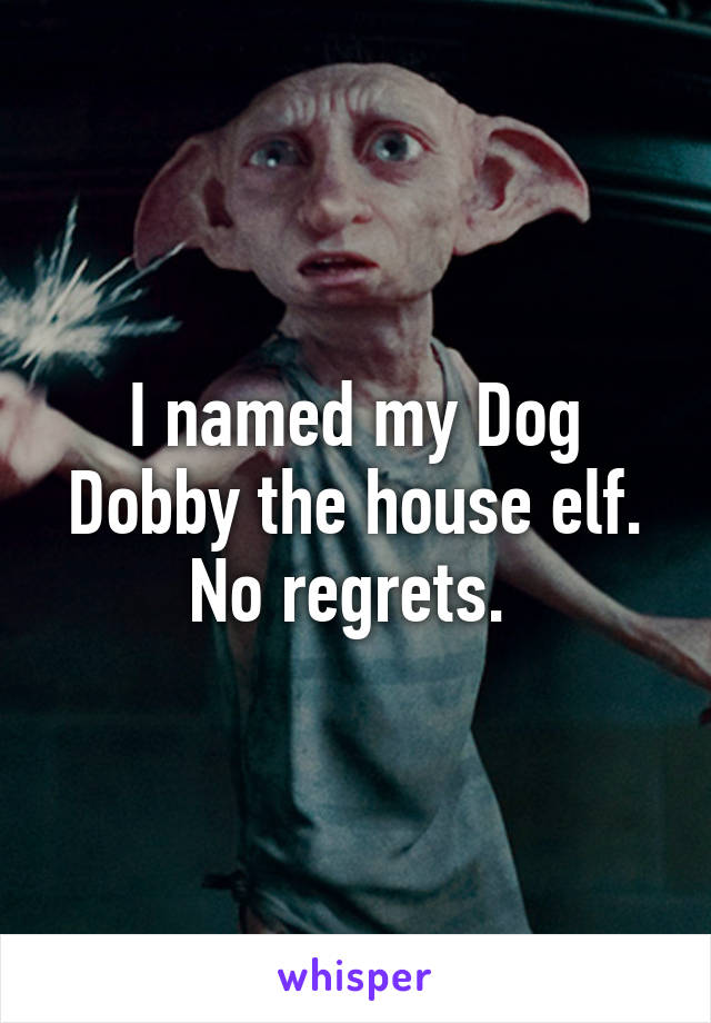 I named my Dog Dobby the house elf. No regrets. 