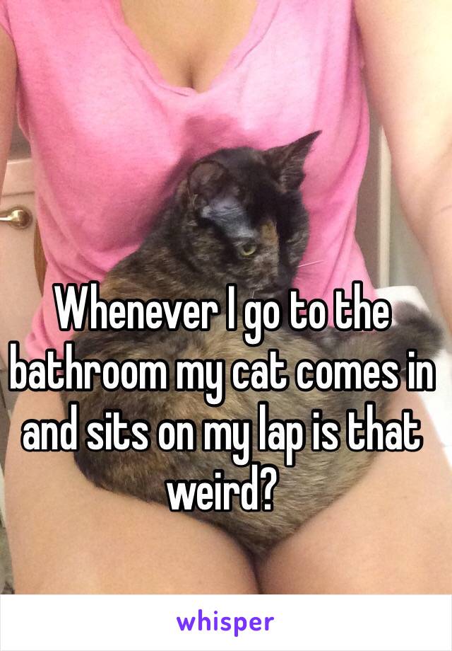 Whenever I go to the bathroom my cat comes in and sits on my lap is that weird?
