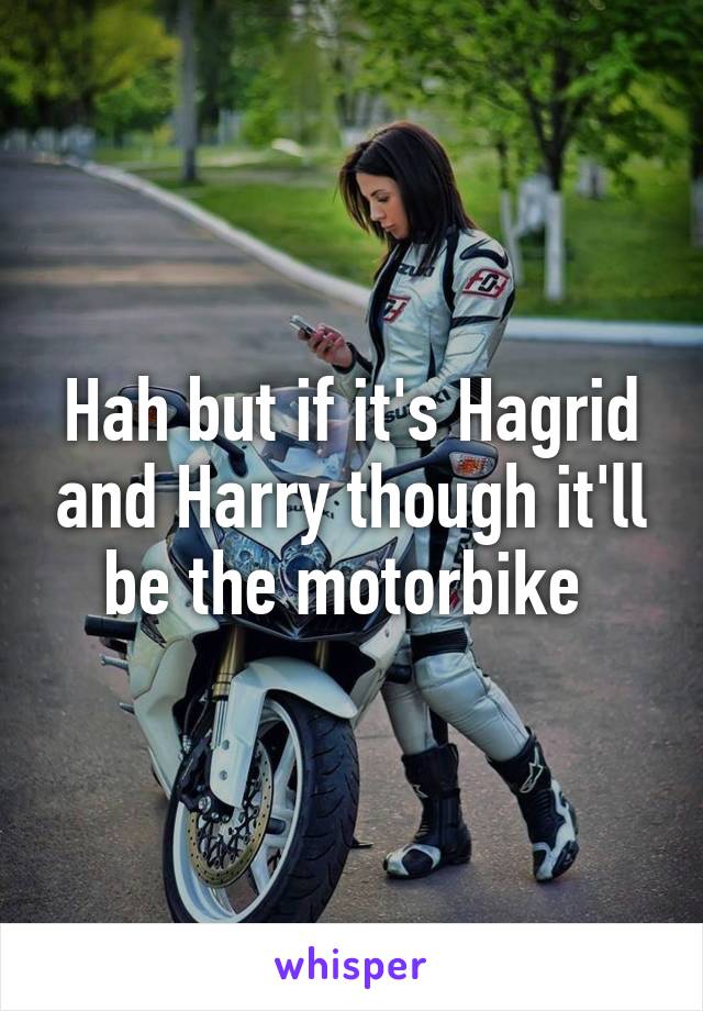 Hah but if it's Hagrid and Harry though it'll be the motorbike 