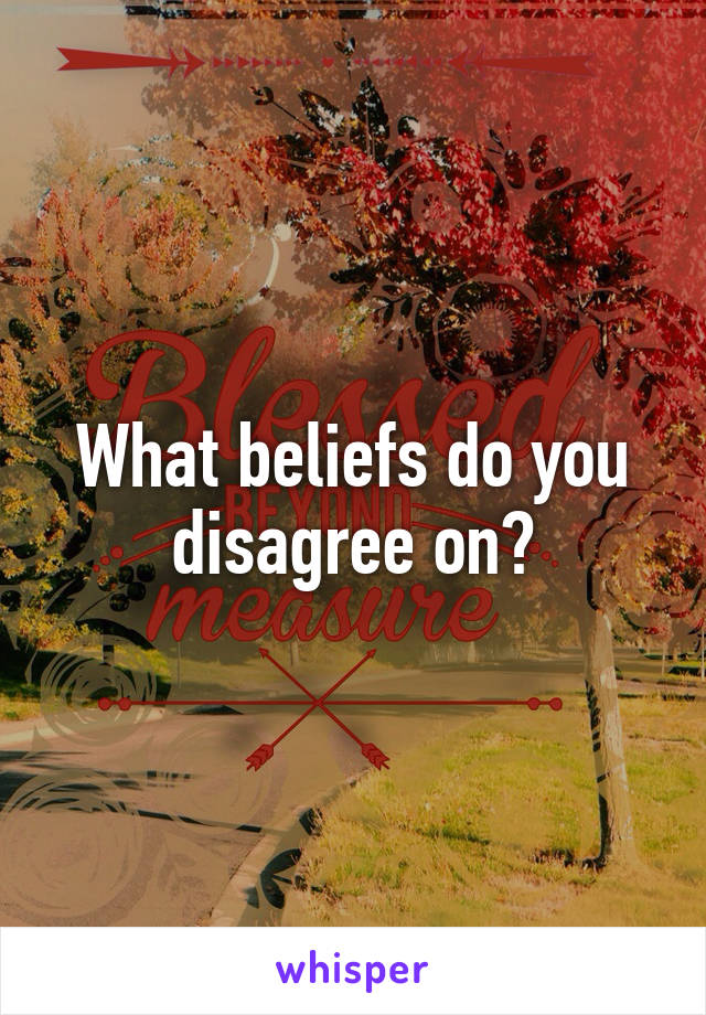What beliefs do you disagree on?