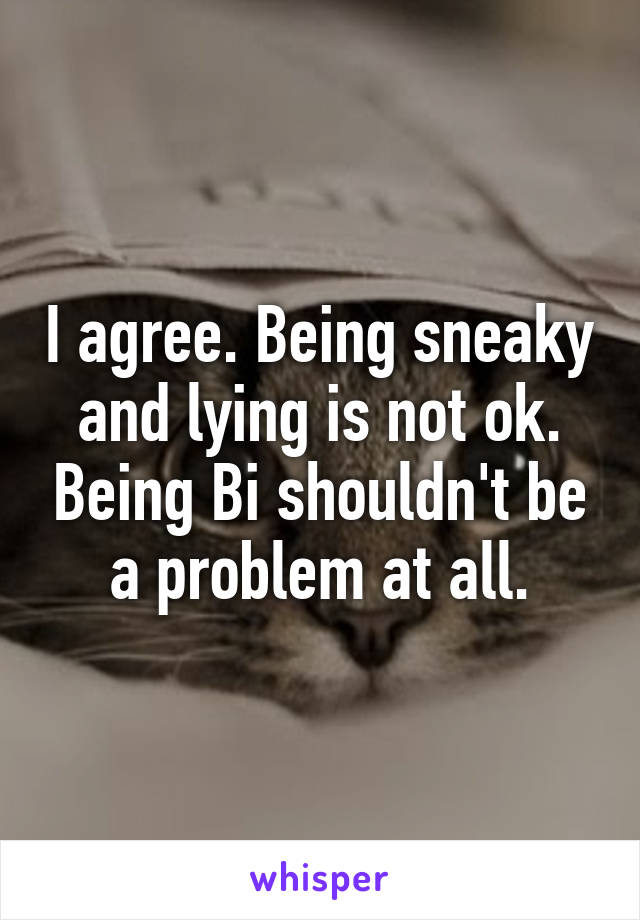 I agree. Being sneaky and lying is not ok. Being Bi shouldn't be a problem at all.