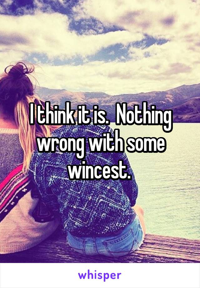 I think it is.  Nothing wrong with some wincest. 