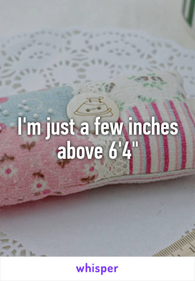 I'm just a few inches above 6'4"