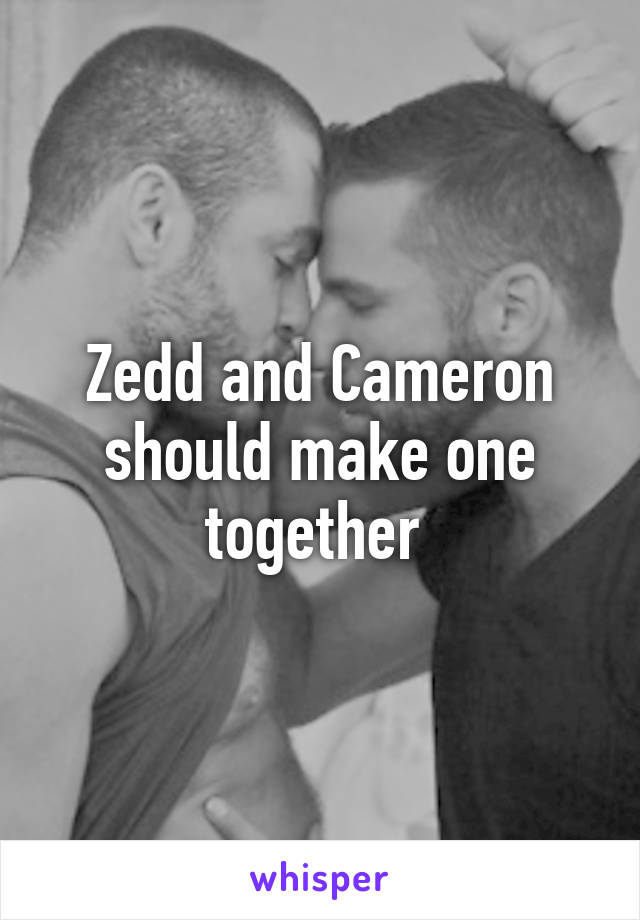 Zedd and Cameron should make one together 