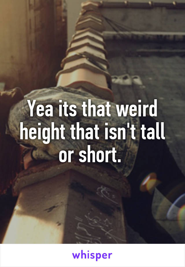 Yea its that weird height that isn't tall or short. 