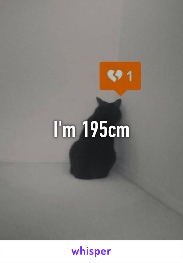 I'm 195cm