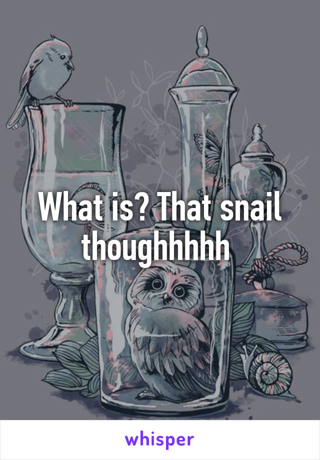 What is? That snail thoughhhhh 