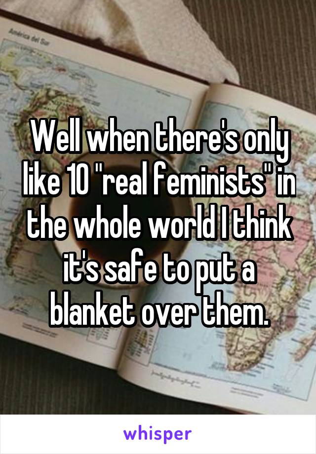 Well when there's only like 10 "real feminists" in the whole world I think it's safe to put a blanket over them.