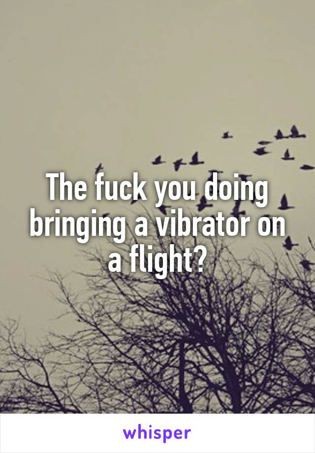 The fuck you doing bringing a vibrator on a flight?