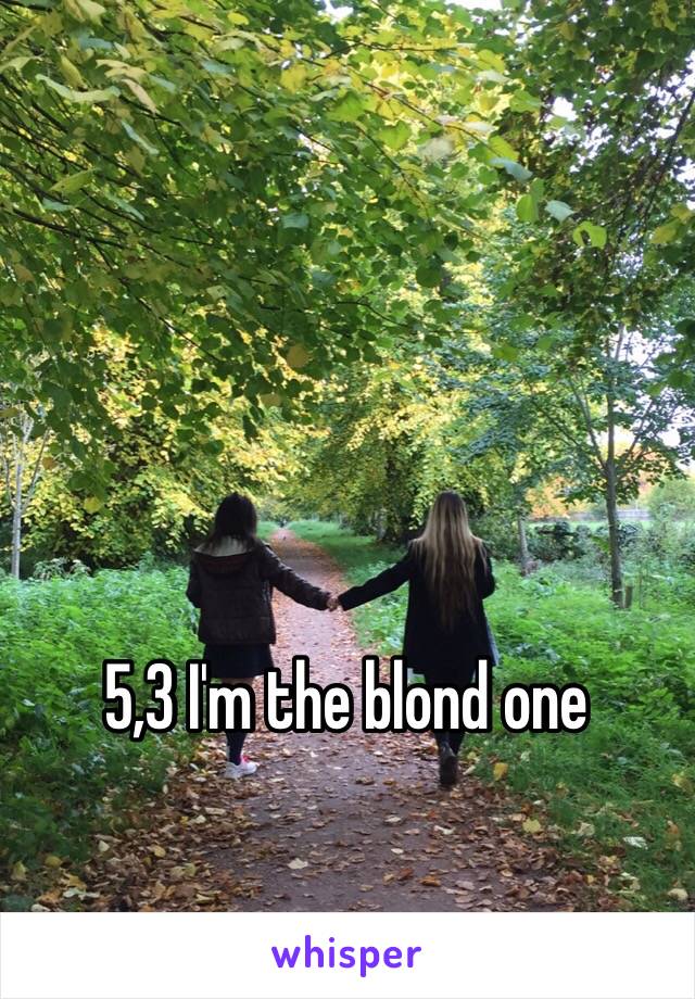 5,3 I'm the blond one