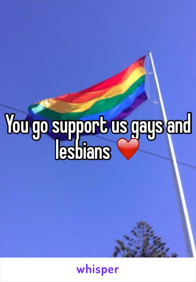 You go support us gays and lesbians ❤️