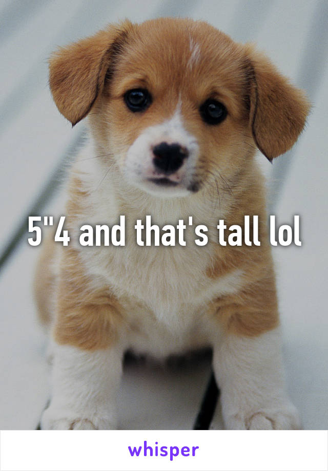 5"4 and that's tall lol