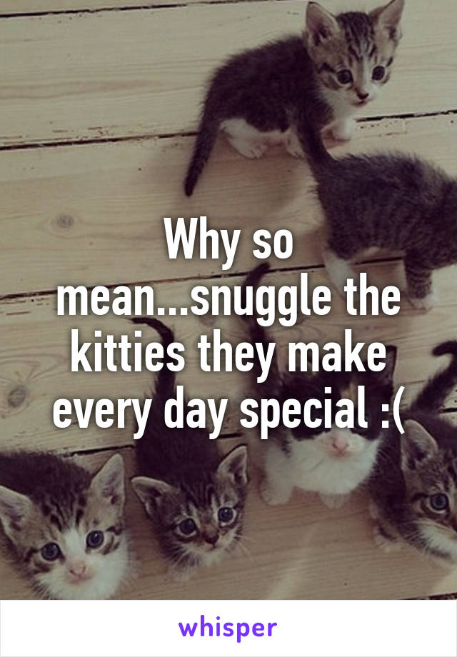 Why so mean...snuggle the kitties they make every day special :(