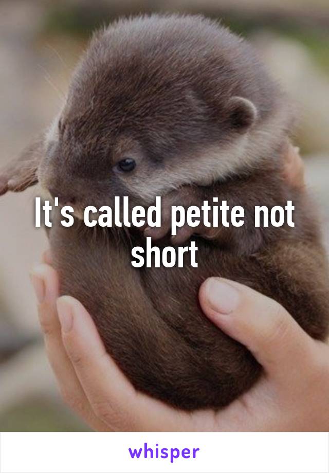 It's called petite not short