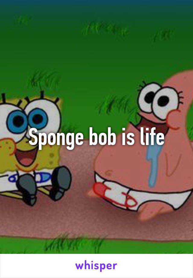 Sponge bob is life