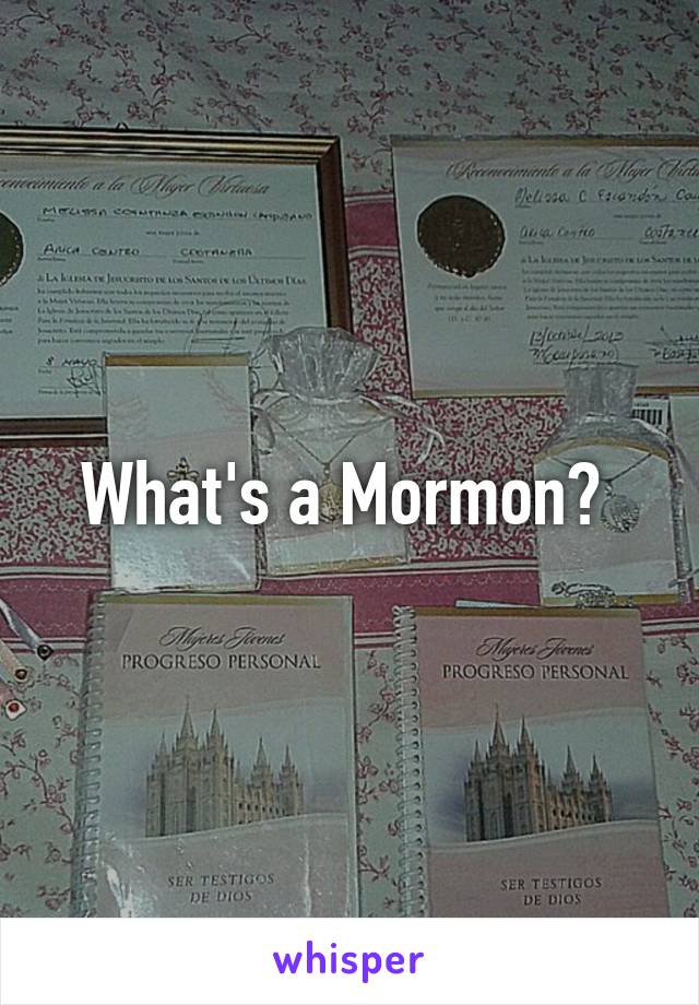 What's a Mormon? 