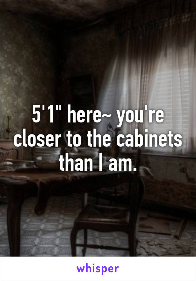 5'1" here~ you're closer to the cabinets than I am.