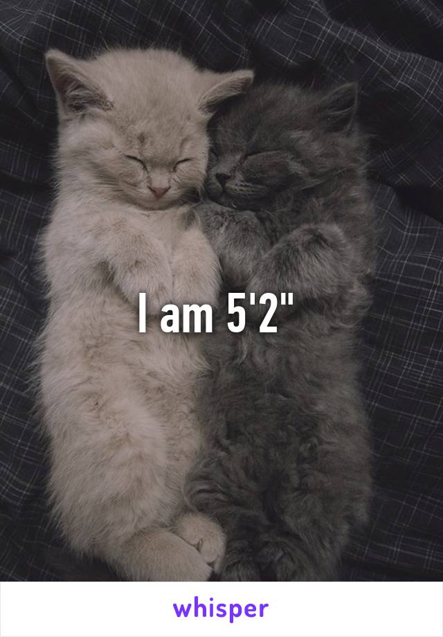 I am 5'2" 