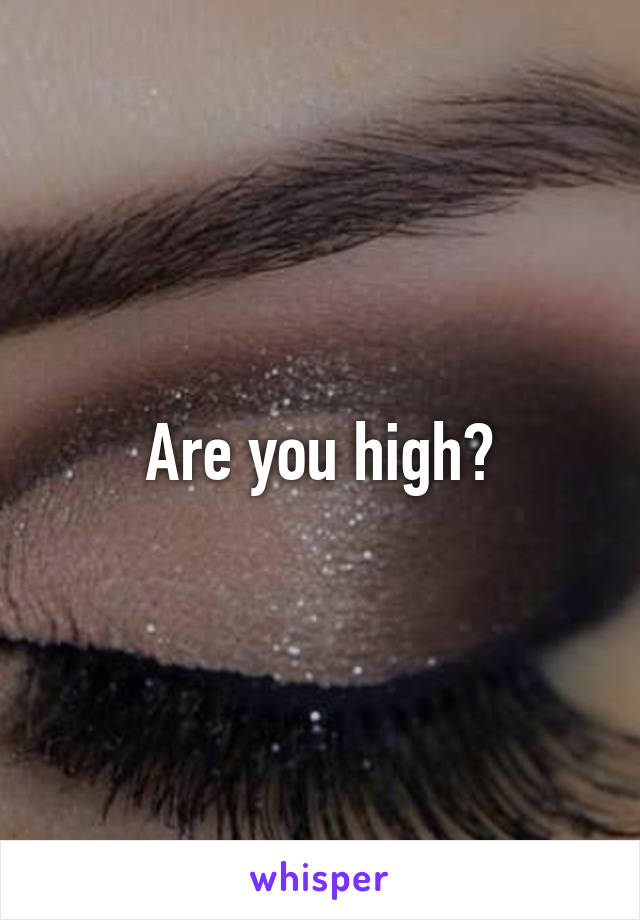 Are you high?