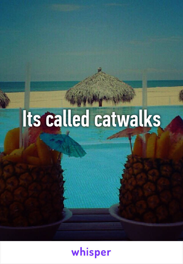 Its called catwalks
