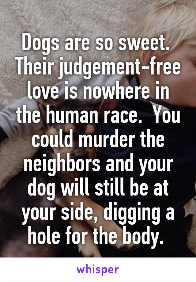 Dogs are so sweet.  Their judgement-free love is nowhere in the human race.  You could murder the neighbors and your dog will still be at your side, digging a hole for the body. 