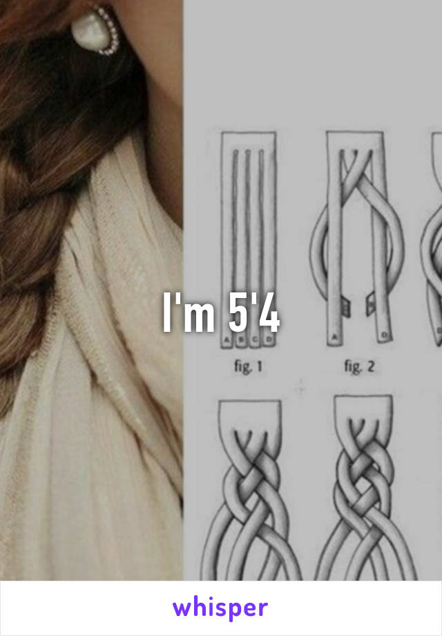 I'm 5'4