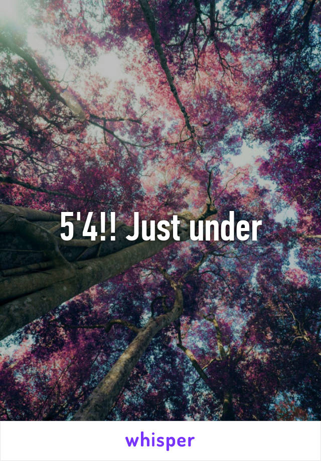 5'4!! Just under